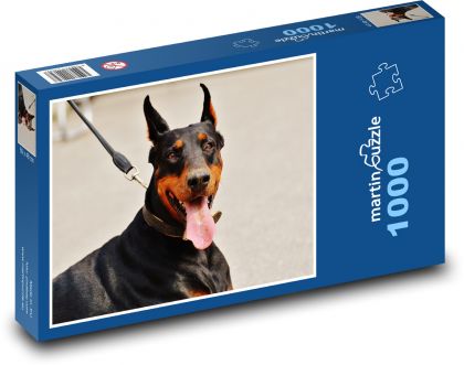 Dobrman - pes, domácí zvíře - Puzzle 1000 dílků, rozměr 60x46 cm