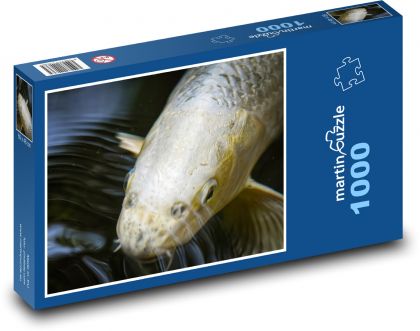 Koi - exotický kapor, ryba - Puzzle 1000 dielikov, rozmer 60x46 cm