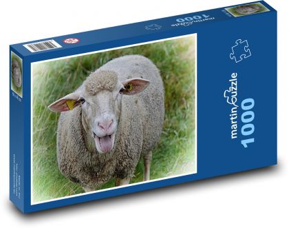 Ovce - zvíře, louka - Puzzle 1000 dílků, rozměr 60x46 cm
