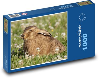 Zajíc - mládě, louka - Puzzle 1000 dílků, rozměr 60x46 cm