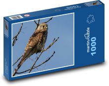 Poštolka - dravec, vták Puzzle 1000 dielikov - 60 x 46 cm 