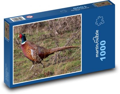 Bażant - ptak, zwierzę - Puzzle 1000 elementów, rozmiar 60x46 cm