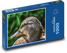 Divoká kachna - příroda, pták Puzzle 1000 dílků - 60 x 46 cm