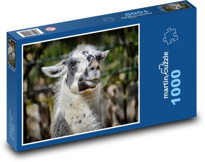 Lama - zvíře, zoo - Puzzle 1000 dílků, rozměr 60x46 cm