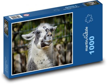 Lama - Tier, Zoo - Puzzle - 1000 Teile