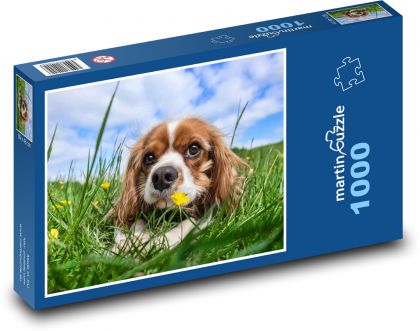 Pes - roztomilé štěně - Puzzle 1000 dílků, rozměr 60x46 cm