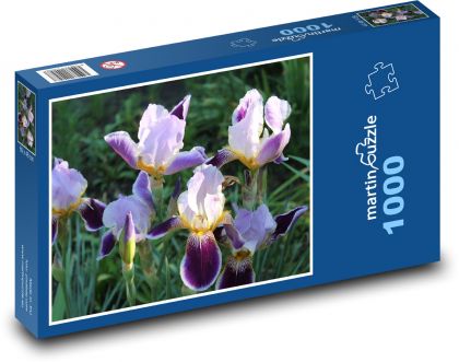 Iris, Blume, Garten - Puzzle - 1000 Teile