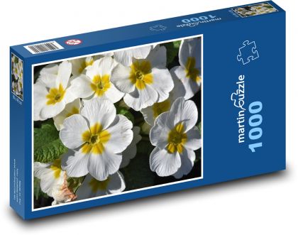 Parsley - primules, spring flower - Puzzle 1000 pieces, size 60x46 cm 