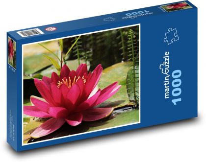 Leknín - fialový květ - Puzzle 1000 dílků, rozměr 60x46 cm