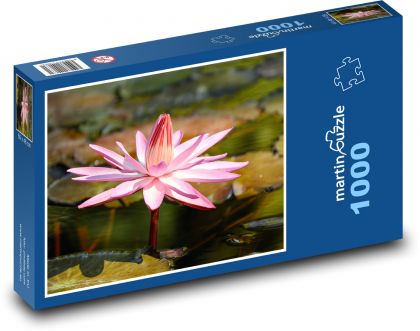 Růžový leknín - vodní květina, květ - Puzzle 1000 dílků, rozměr 60x46 cm