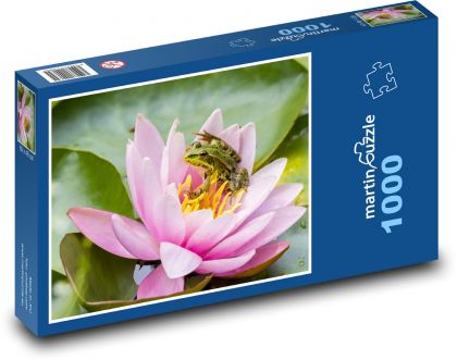 Žaba - lekno, rybník - Puzzle 1000 dielikov, rozmer 60x46 cm