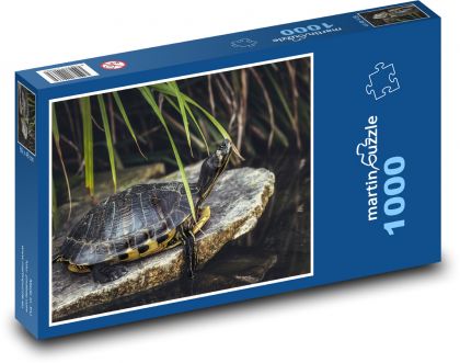 Želva - plaz, rybník - puzzle 1000 dílků