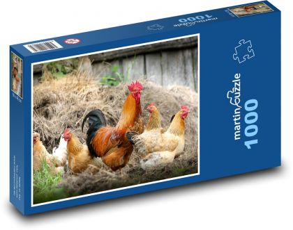 Kury - drób, kogut - Puzzle 1000 elementów, rozmiar 60x46 cm