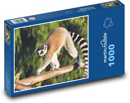 Lemur - zwierzę, małpa - Puzzle 1000 elementów, rozmiar 60x46 cm