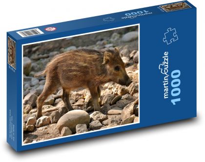 Diviak - prasiatko, prasa - Puzzle 1000 dielikov, rozmer 60x46 cm