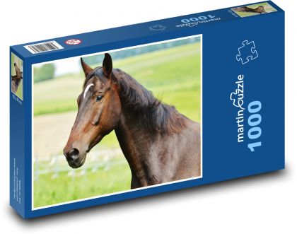 Kůň - hřebec, farma - puzzle 1000 dílků