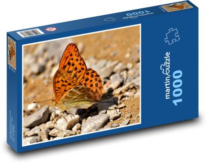 Motýl - hmyz, příroda - Puzzle 1000 dílků, rozměr 60x46 cm