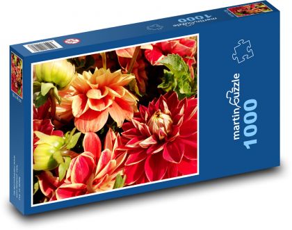 Jiřiny - květiny, zahrada - Puzzle 1000 dílků, rozměr 60x46 cm