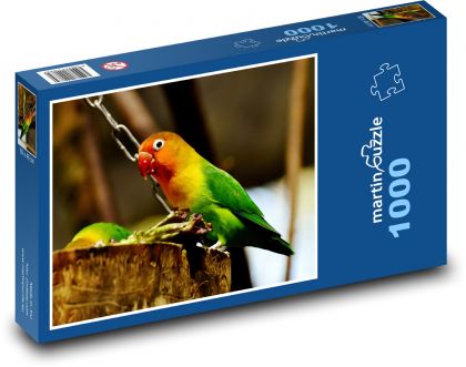 Papagáj - vták, zviera - Puzzle 1000 dielikov, rozmer 60x46 cm
