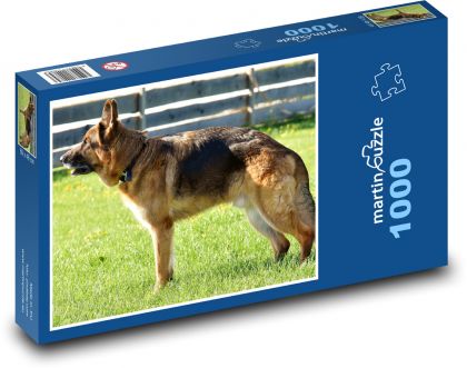 Německý ovčák - pes, domácí zvíře - Puzzle 1000 dílků, rozměr 60x46 cm
