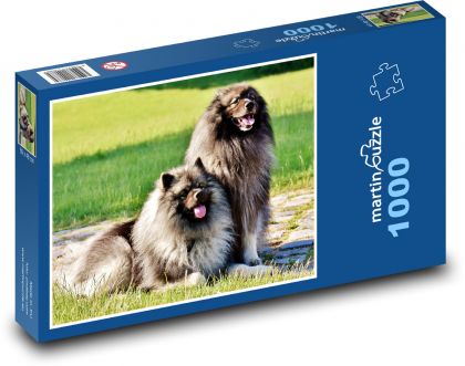 Spitz - dog, pet - Puzzle 1000 pieces, size 60x46 cm 