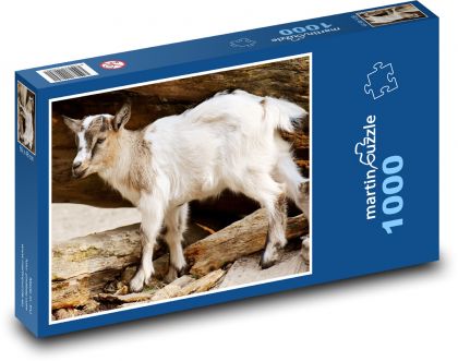Dziecko - młode, zwierzę domowe - Puzzle 1000 elementów, rozmiar 60x46 cm
