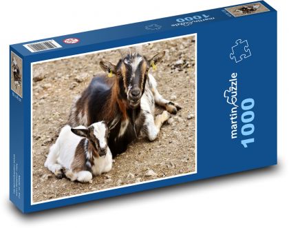 Kozy - mládě, koza - Puzzle 1000 dílků, rozměr 60x46 cm