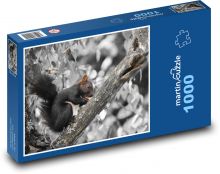 Veverka - hlodavec, zvíře Puzzle 1000 dílků - 60 x 46 cm