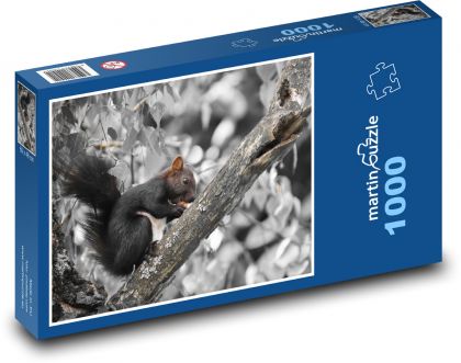 Veverka - hlodavec, zvíře - Puzzle 1000 dílků, rozměr 60x46 cm