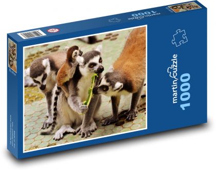 Lemur - opice, zoo - Puzzle 1000 dílků, rozměr 60x46 cm