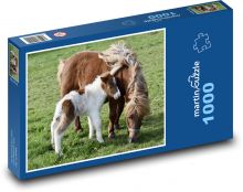 Shetland ponies - pasture, horses Puzzle 1000 pieces - 60 x 46 cm