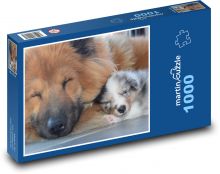 Śpiące psy - suka i szczeniak Puzzle 1000 elementów - 60x46 cm