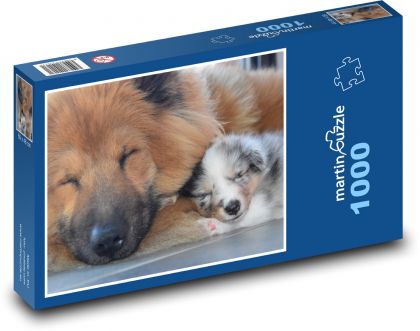 Psi - zvířata, štěně - Puzzle 1000 dílků, rozměr 60x46 cm