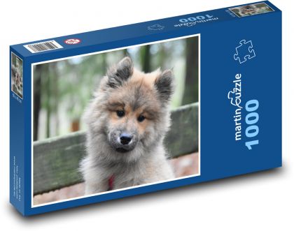 Pes - štěně, zvíře - Puzzle 1000 dílků, rozměr 60x46 cm