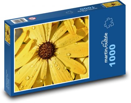 Okvětní lístky - květiny  - Puzzle 1000 dílků, rozměr 60x46 cm