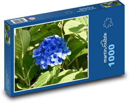 Hydrangea - flower, garden - Puzzle 1000 pieces, size 60x46 cm 