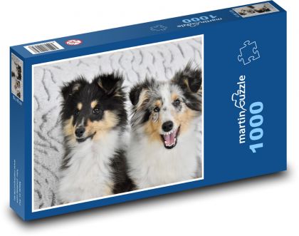 Pes - domácí mazlíček, zvíře - Puzzle 1000 dílků, rozměr 60x46 cm