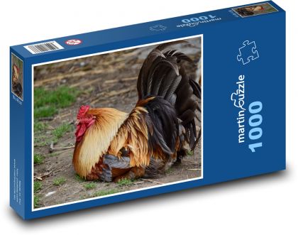 Rooster - farm, animal - Puzzle 1000 pieces, size 60x46 cm 