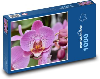 Różowa orchidea - kwiat, kwiat - Puzzle 1000 elementów, rozmiar 60x46 cm