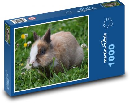 Rabbit - animal, nature - Puzzle 1000 pieces, size 60x46 cm 