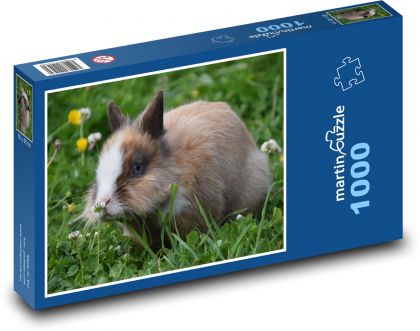 Rabbit in the grass - Puzzle 1000 pieces, size 60x46 cm 