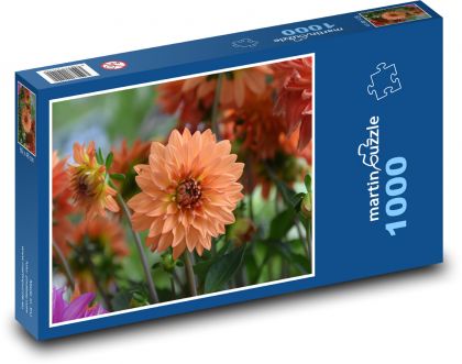 Jiřina - oranžový květ, květina - Puzzle 1000 dílků, rozměr 60x46 cm