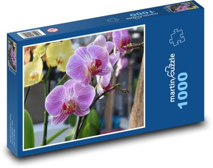 Orchidej - růžový květ, květina - Puzzle 1000 dílků, rozměr 60x46 cm