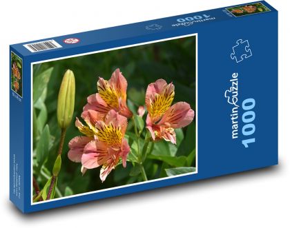 Lilie - Blume, Knospe - Puzzle - 1000 Teile
