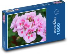 Pelargonium - pink flower, nutmeg Puzzle 1000 pieces - 60 x 46 cm