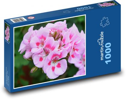 Geranium - różowy kwiat, gałka muszkatołowa - Puzzle 1000 elementów, rozmiar 60x46 cm