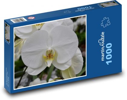 Bílá orchidej - květina, květ - Puzzle 1000 dílků, rozměr 60x46 cm