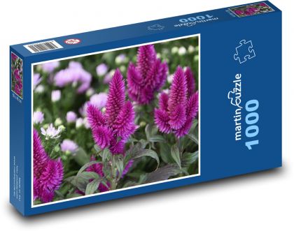 Fialový květ - nevadlec, zahrada - Puzzle 1000 dílků, rozměr 60x46 cm
