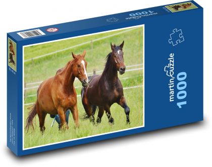 Konie - ogier, zwierzęta - Puzzle 1000 elementów, rozmiar 60x46 cm