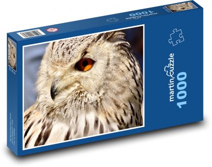 Owl - bird, animal - Puzzle 1000 pieces, size 60x46 cm 